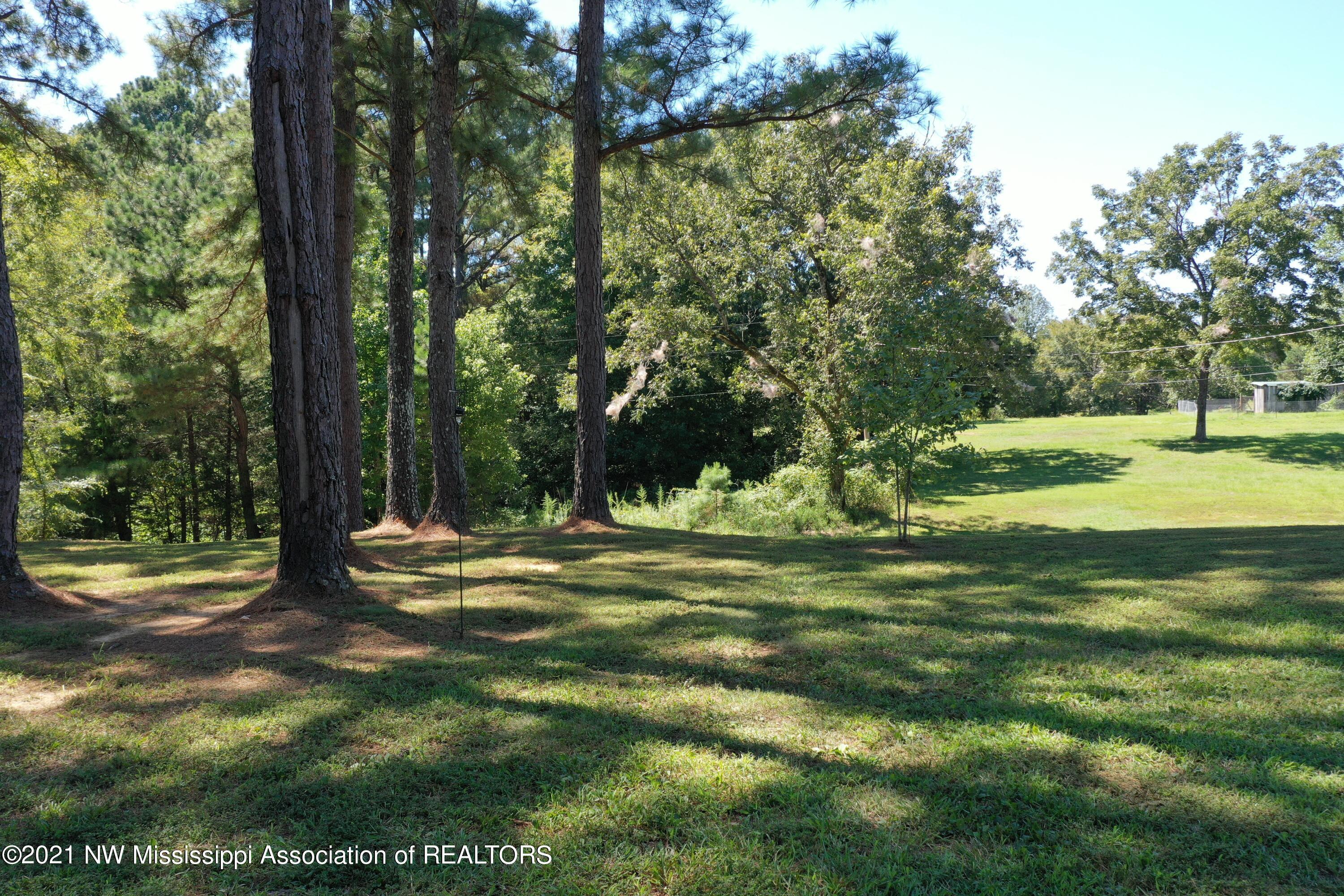 681 Wildcat Bottom Road Red Banks, MS 38661 - Photo 19 of 19 DJI_0508