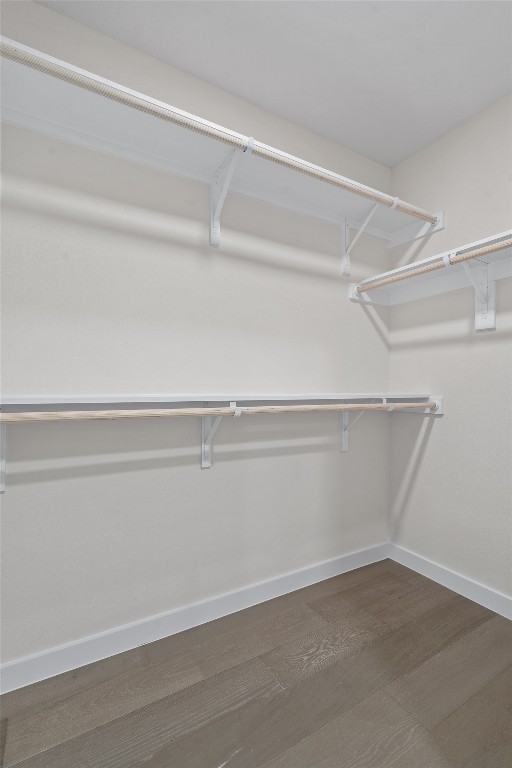 6901 Windrift Way Austin, TX 78745 - Photo 9 of 30 Spacious closet with dark wood-type flooring