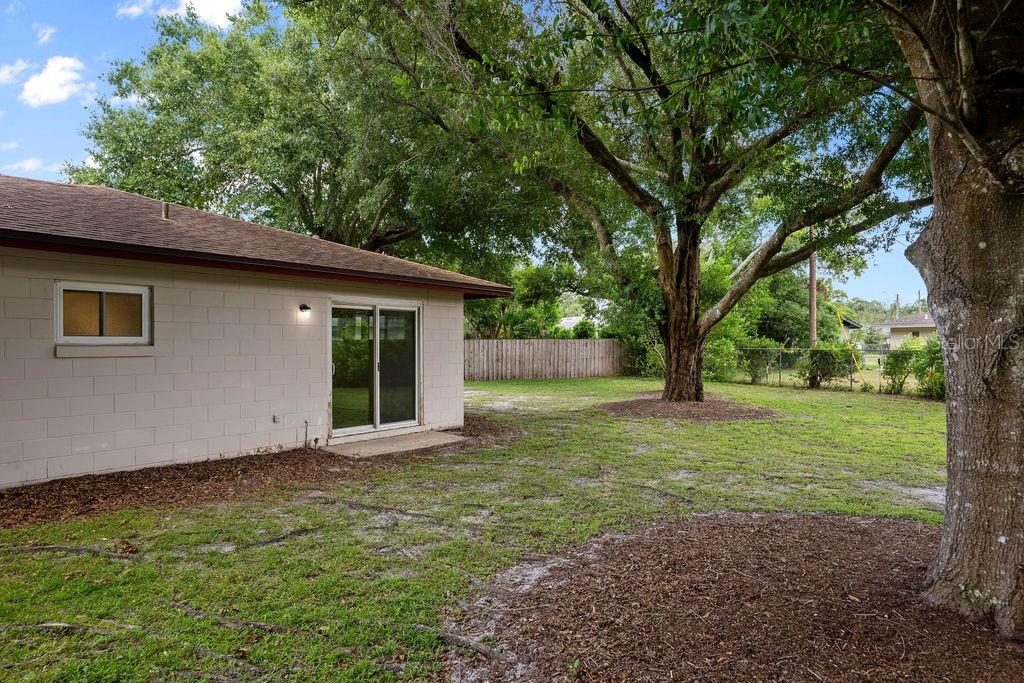 541 London Road Winter Park, FL 32792 - Photo 29 of 31 Expansive Rear Yard