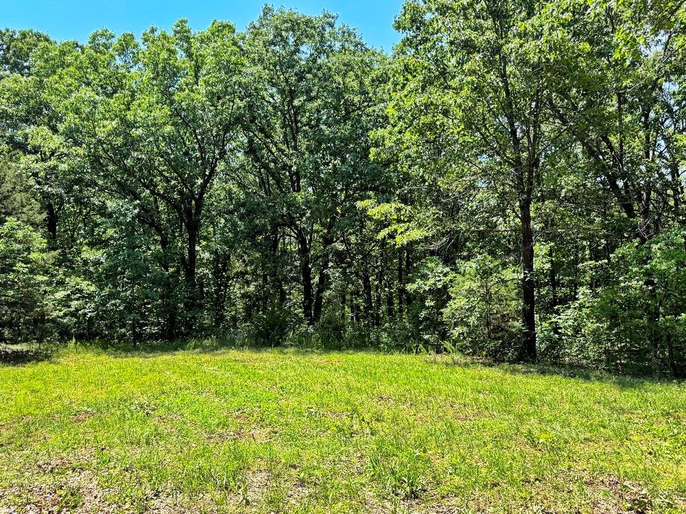 Tbd3 East 1550 Road Jerico Springs, MO 64756 - Photo 23 of 42