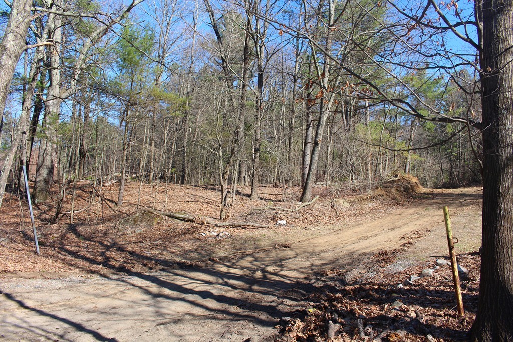 Lot 1 South Bolton Road Bolton, MA 01740 - Photo 3 of 8 Gallery Image 3