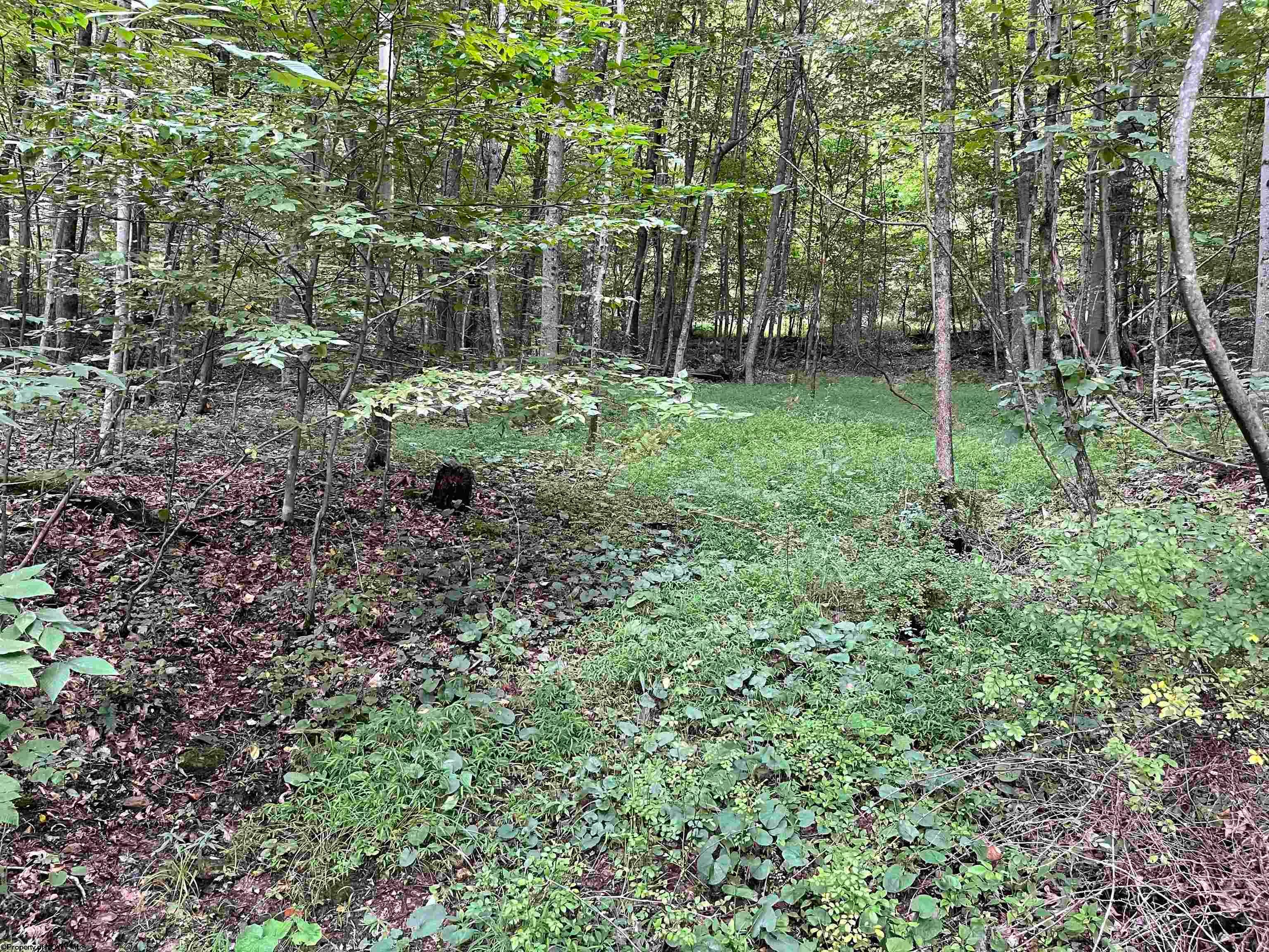 917 Mudlick Run Road Fairmont, WV 26554 - Photo 1 of 19 Gallery Image 1
