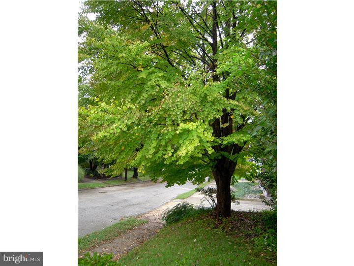 717 Kenmare Road Bala Cynwyd, PA 19004 - Photo 20 of 20 Front Yard