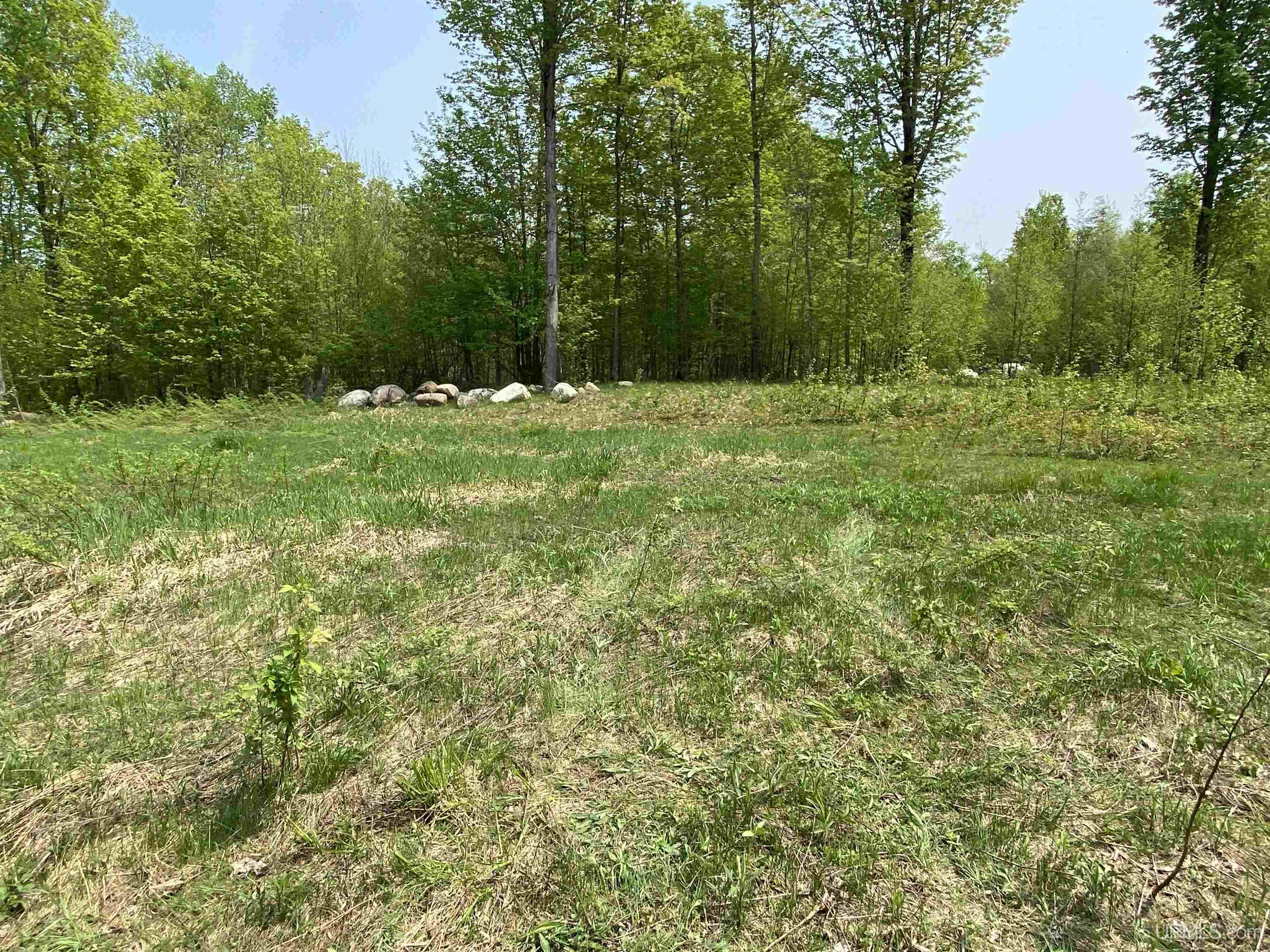 On East Shore Road Bergland, MI 49910 - Photo 1 of 3 Gallery Image 1