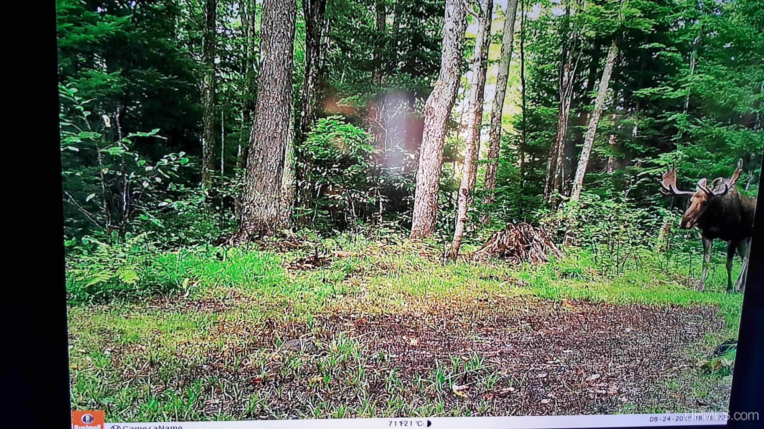 Tbd Tbd Stack Grade Little Lake Rock, MI 49880 - Photo 38 of 45