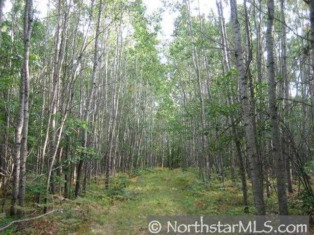 Xxx Lower Mckenzie Lake Road Spooner, WI 54801 - Photo 1 of 1