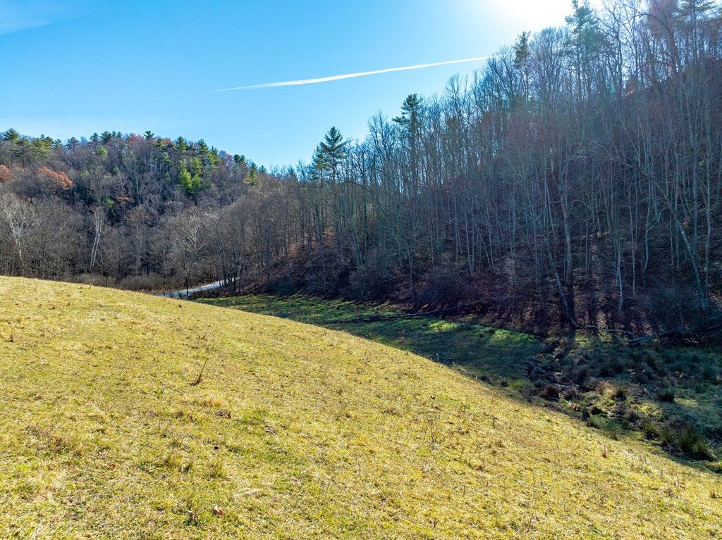 Tbd Gap Of Ridge Road Rural Retreat, VA 24368 - Photo 66 of 85 Gallery Image 66