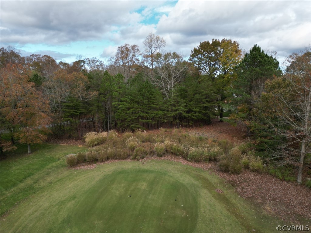 196 Blackheath Williamsburg, VA 23188 - Photo 6 of 11 a view of a lush green forest with lots of trees