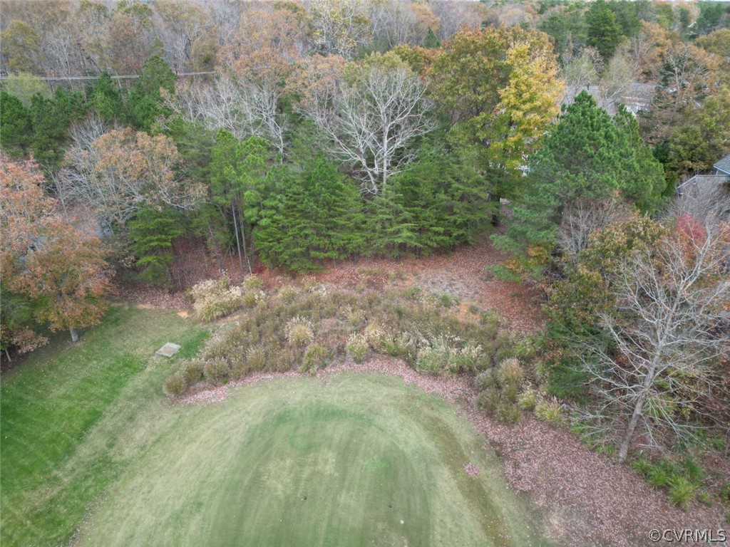 196 Blackheath Williamsburg, VA 23188 - Photo 9 of 11 a view of a yard with plants and a bench