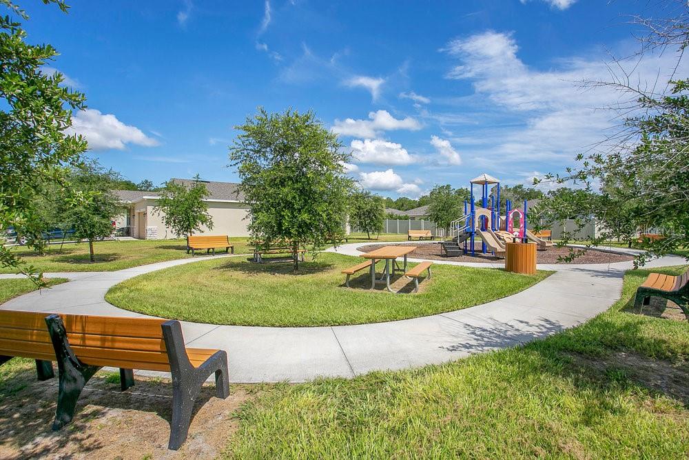 3964 Mayhill Loop Eustis, FL 32736 - Photo 29 of 34 a view of a swimming pool with a yard