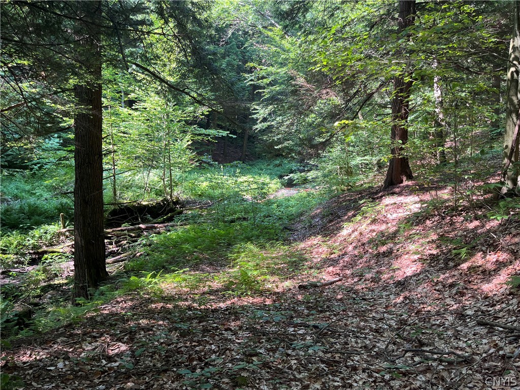 Center Road Lacona, NY 13083 - Photo 22 of 38