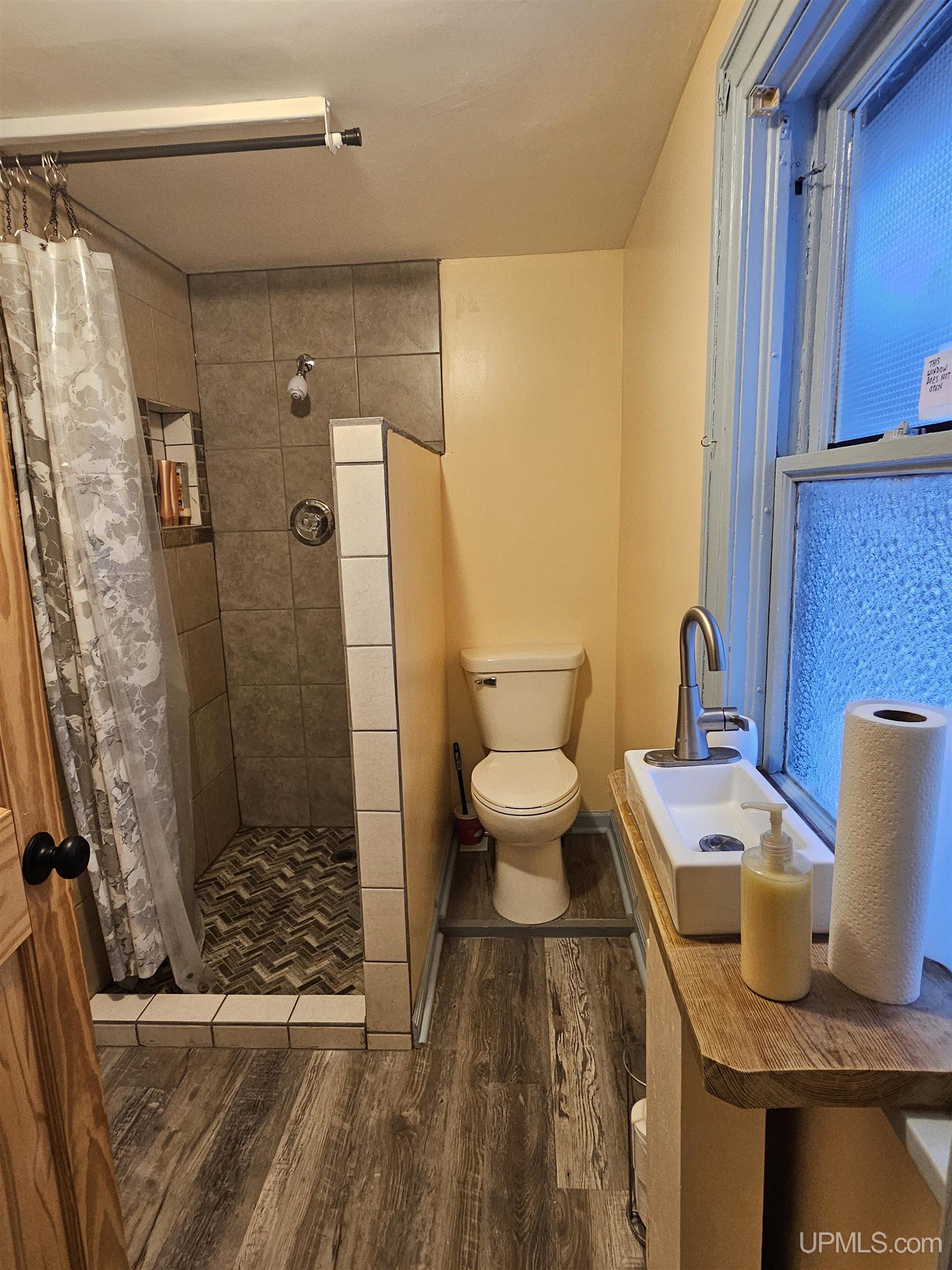 433 Pewabic Street Laurium, MI 49913 - Photo 15 of 17