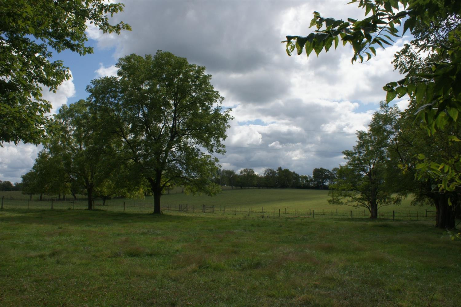 2152 Paynes Depot Road Lexington, KY 40511 - Photo 8 of 11 Photo 8