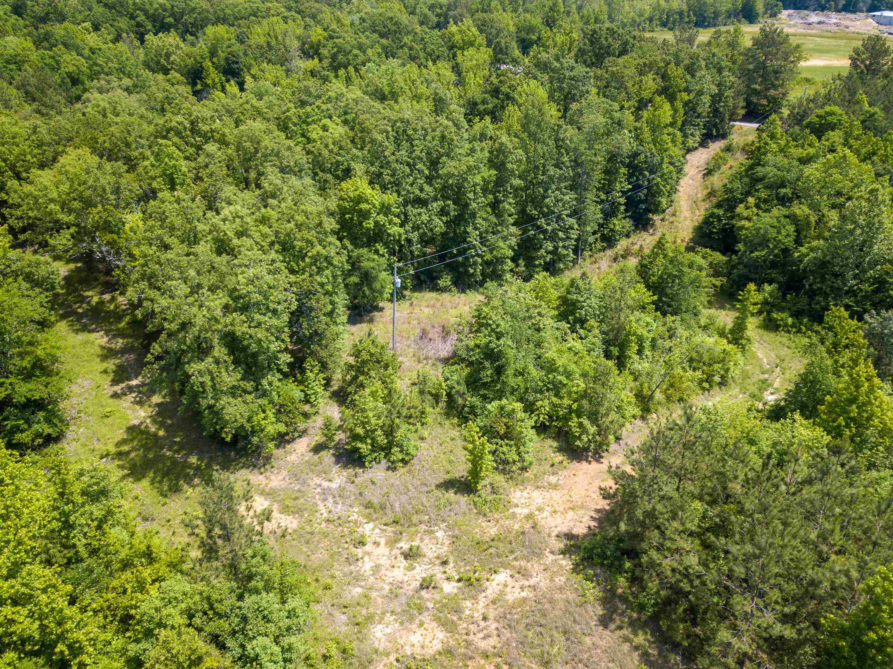 5453 Winding Ridge Road Adamsville, TN 38310 - Photo 18 of 25 a view of a garden with plants