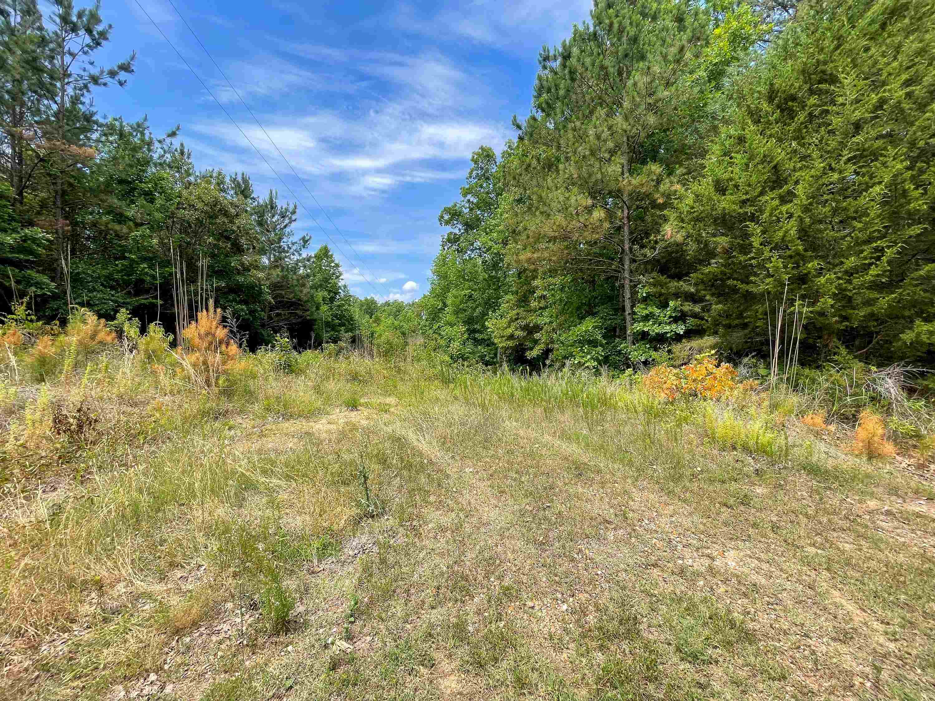 5453 Winding Ridge Road Adamsville, TN 38310 - Photo 3 of 25 a view of a yard with large trees