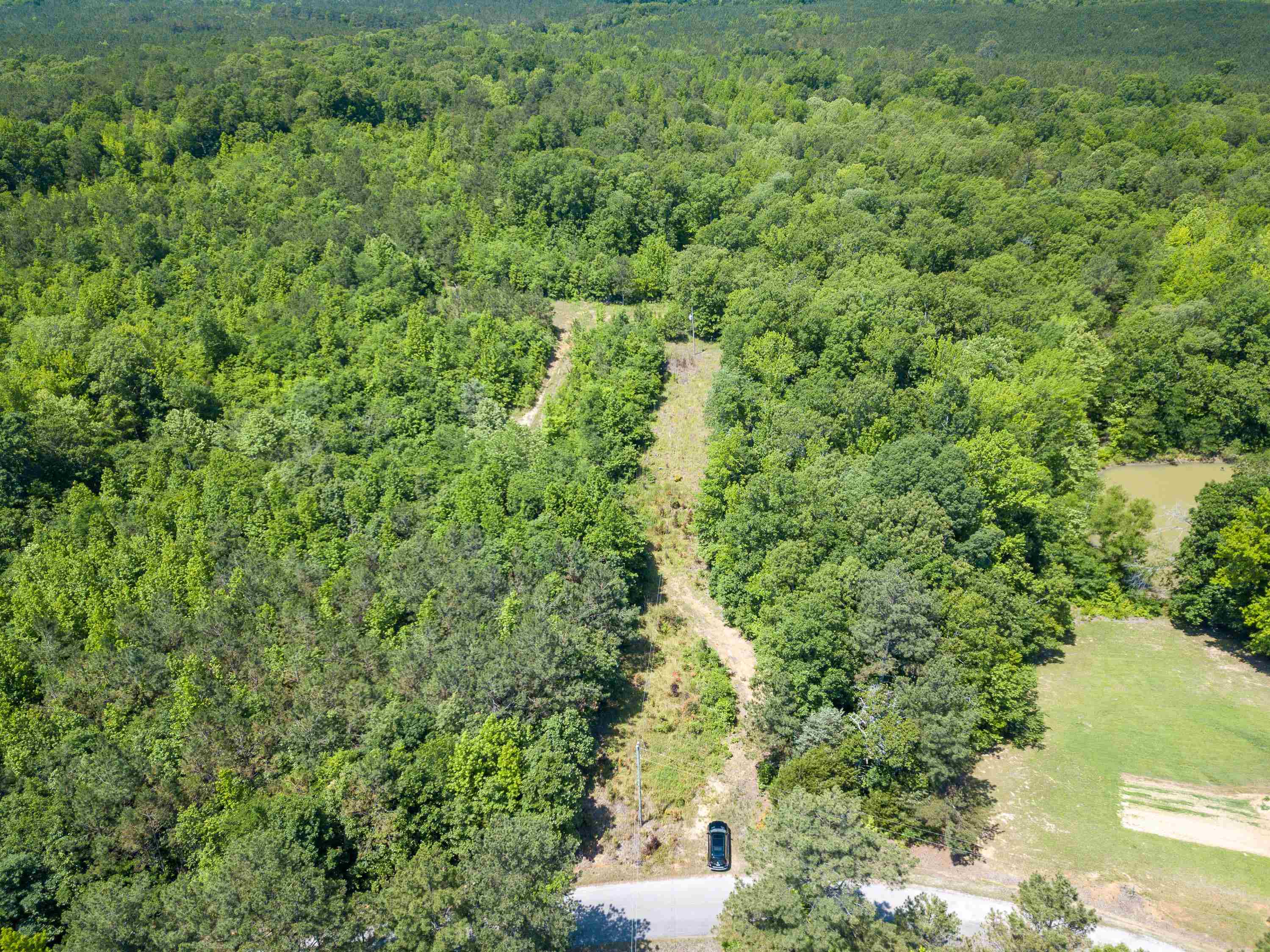 5453 Winding Ridge Road Adamsville, TN 38310 - Photo 5 of 25 a view of a large yard with lots of green space