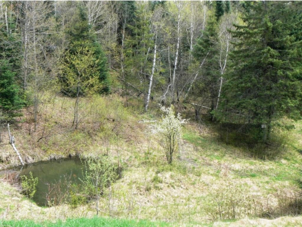 774 Hollow Road Stewartstown, NH 03576 - Photo 19 of 21 Gallery Image 19
