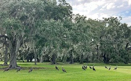 $3,785,500 | 3650 Lake Tohopekaliga Road, St. Cloud, FL 34772