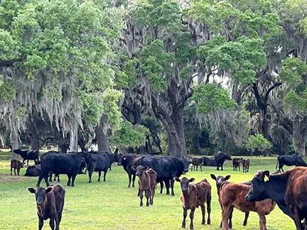 $3,785,500 | 3650 Lake Tohopekaliga Road, St. Cloud, FL 34772