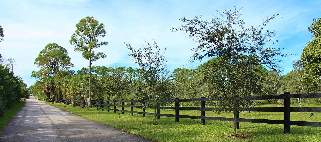 Se Southeast Rivers Edge (lot 5a) Street Jupiter, FL 33458 - Photo 9 of 14 Street and Fence