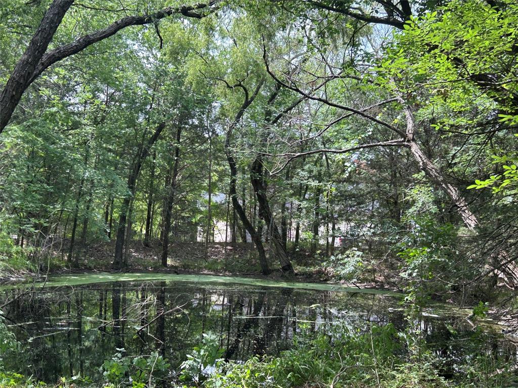Lot 3 North Shore Road Quinlan, TX 75474 - Photo 4 of 10 Pond is shared with lot 4