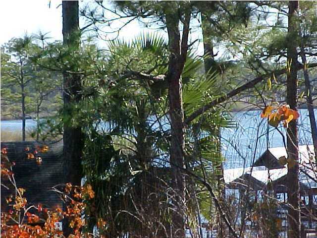 299 Defuniak Street Santa Rosa Beach, FL 32459 - Photo 3 of 16 a view of a tree