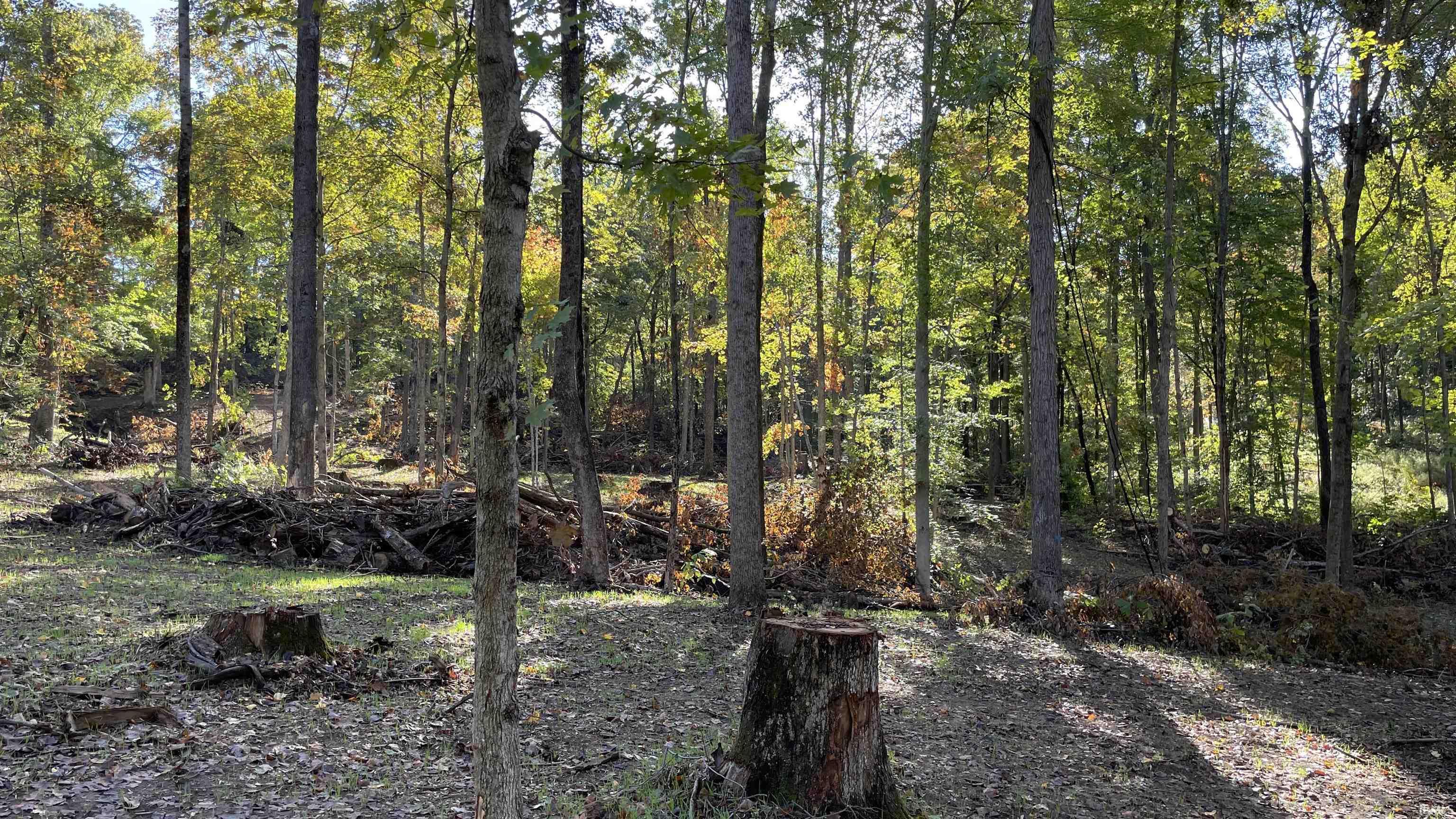 488 Clark Smith Road Mitchell, IN 47446 - Photo 13 of 24