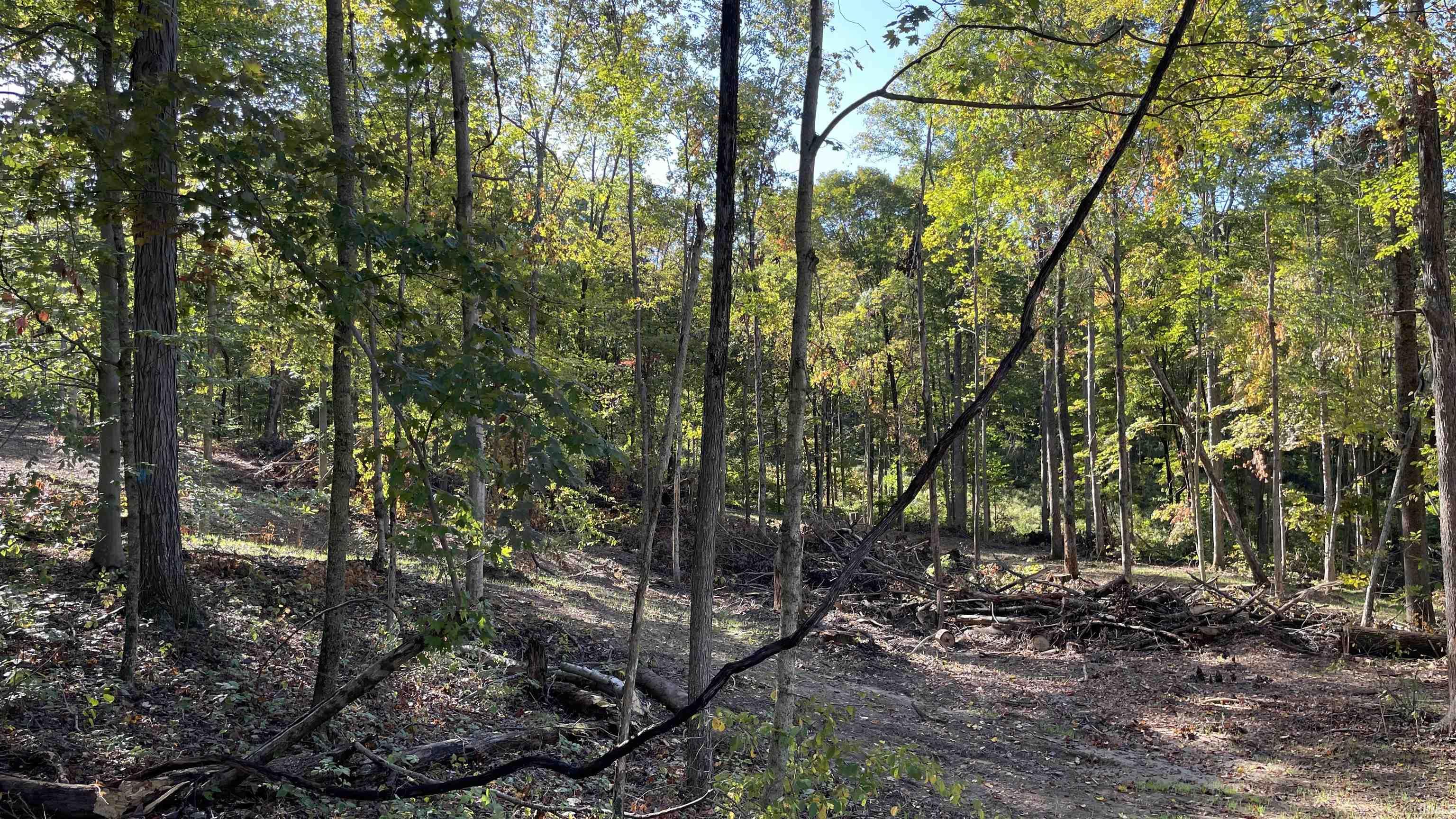 488 Clark Smith Road Mitchell, IN 47446 - Photo 15 of 24