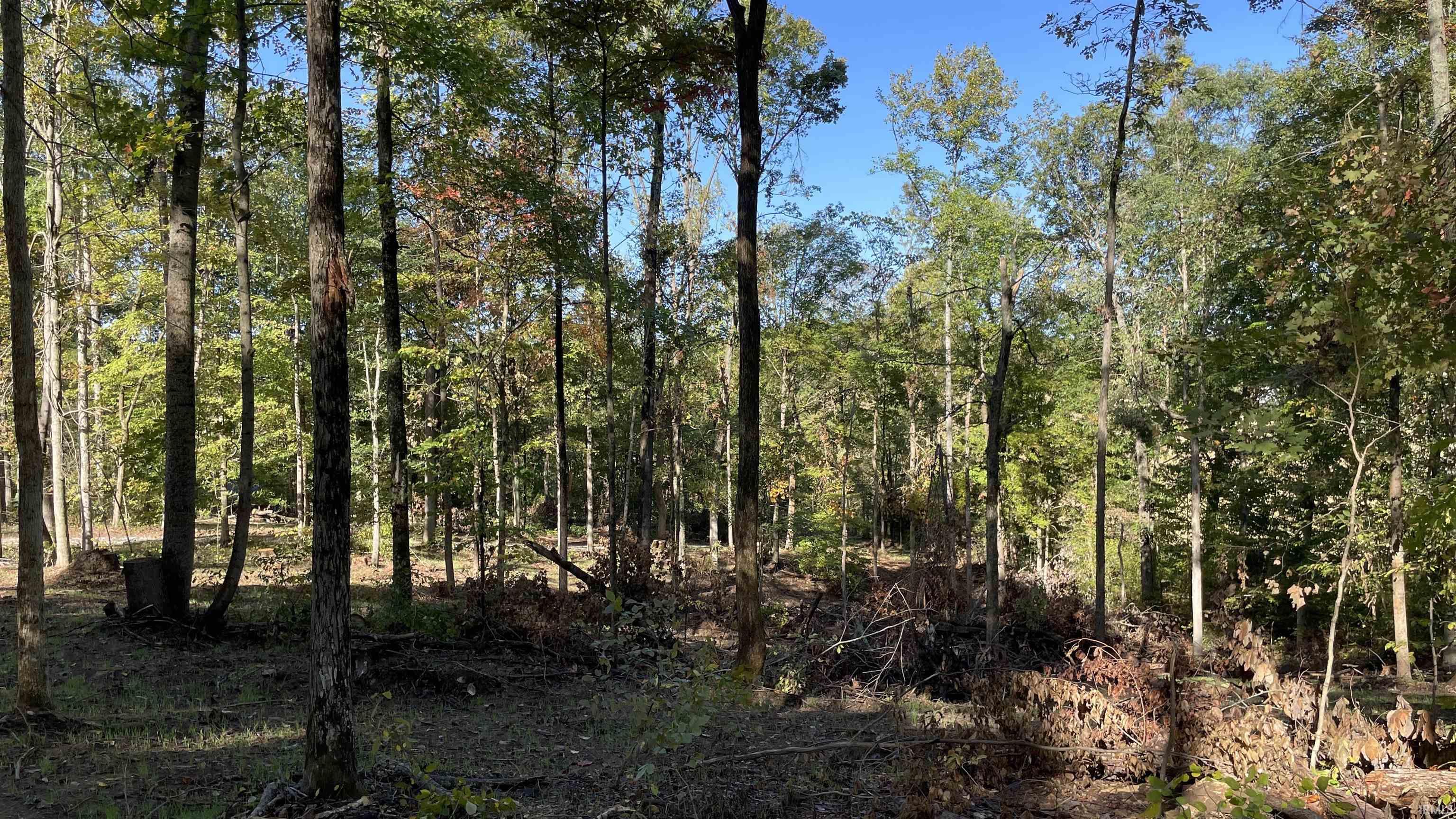 488 Clark Smith Road Mitchell, IN 47446 - Photo 16 of 24