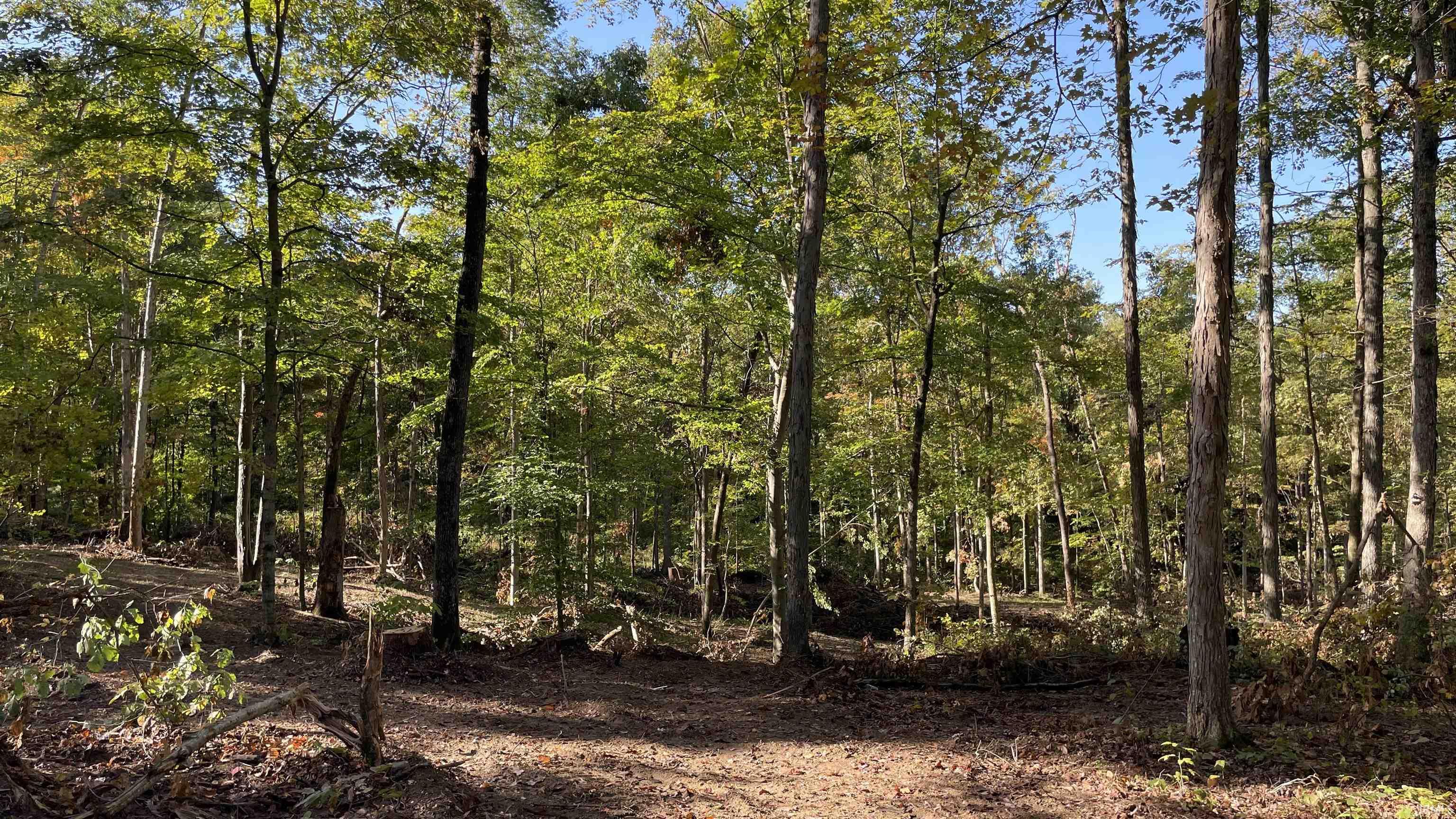 488 Clark Smith Road Mitchell, IN 47446 - Photo 17 of 24