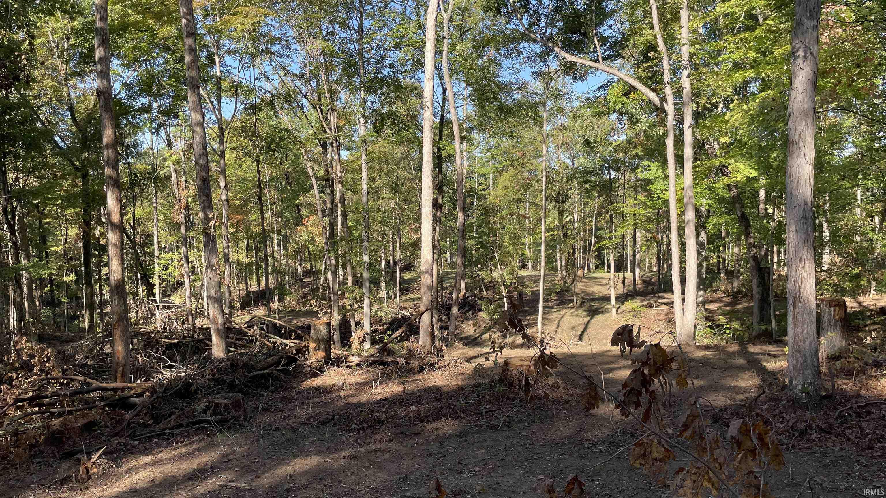 488 Clark Smith Road Mitchell, IN 47446 - Photo 18 of 24