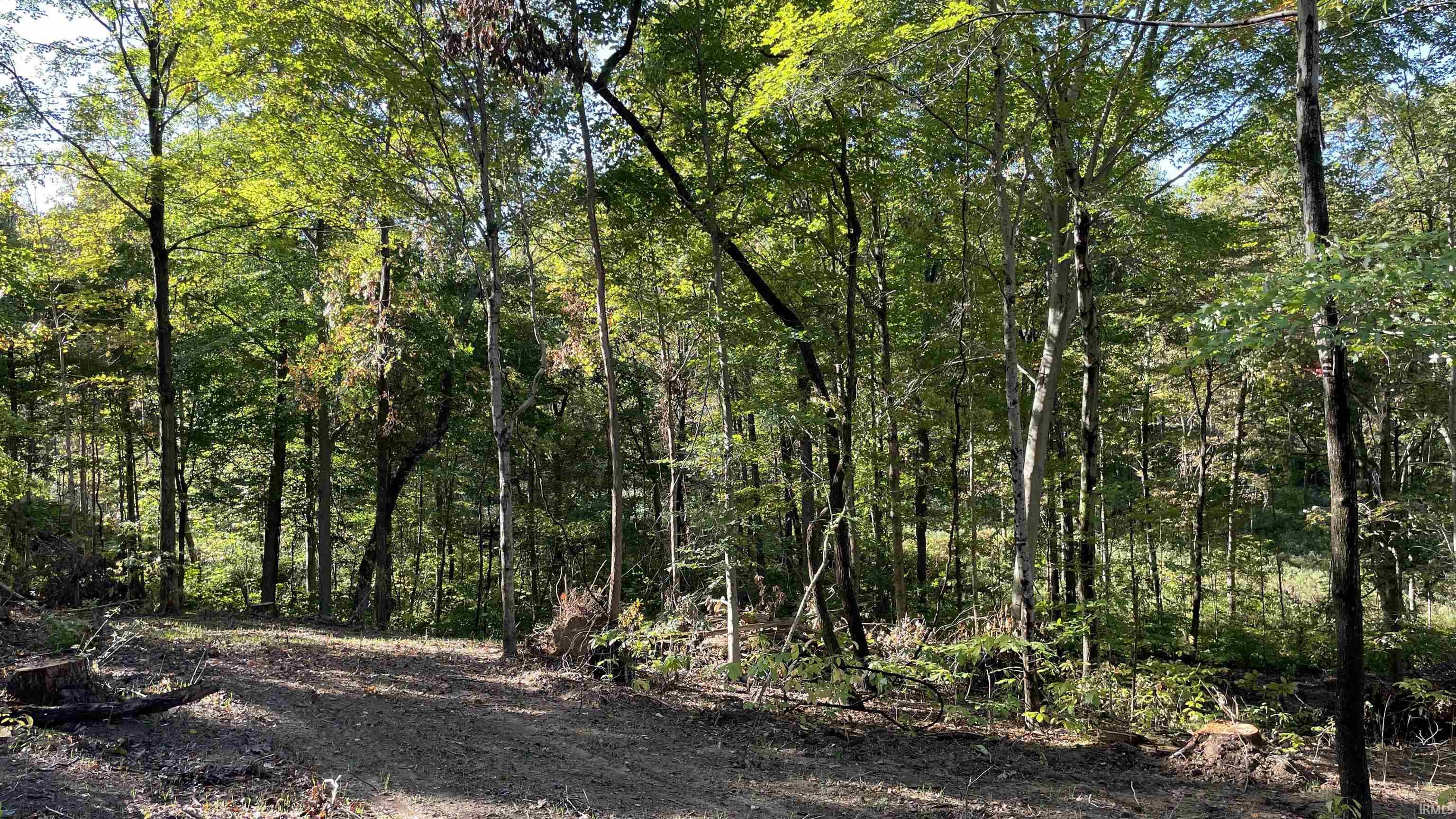 488 Clark Smith Road Mitchell, IN 47446 - Photo 19 of 24