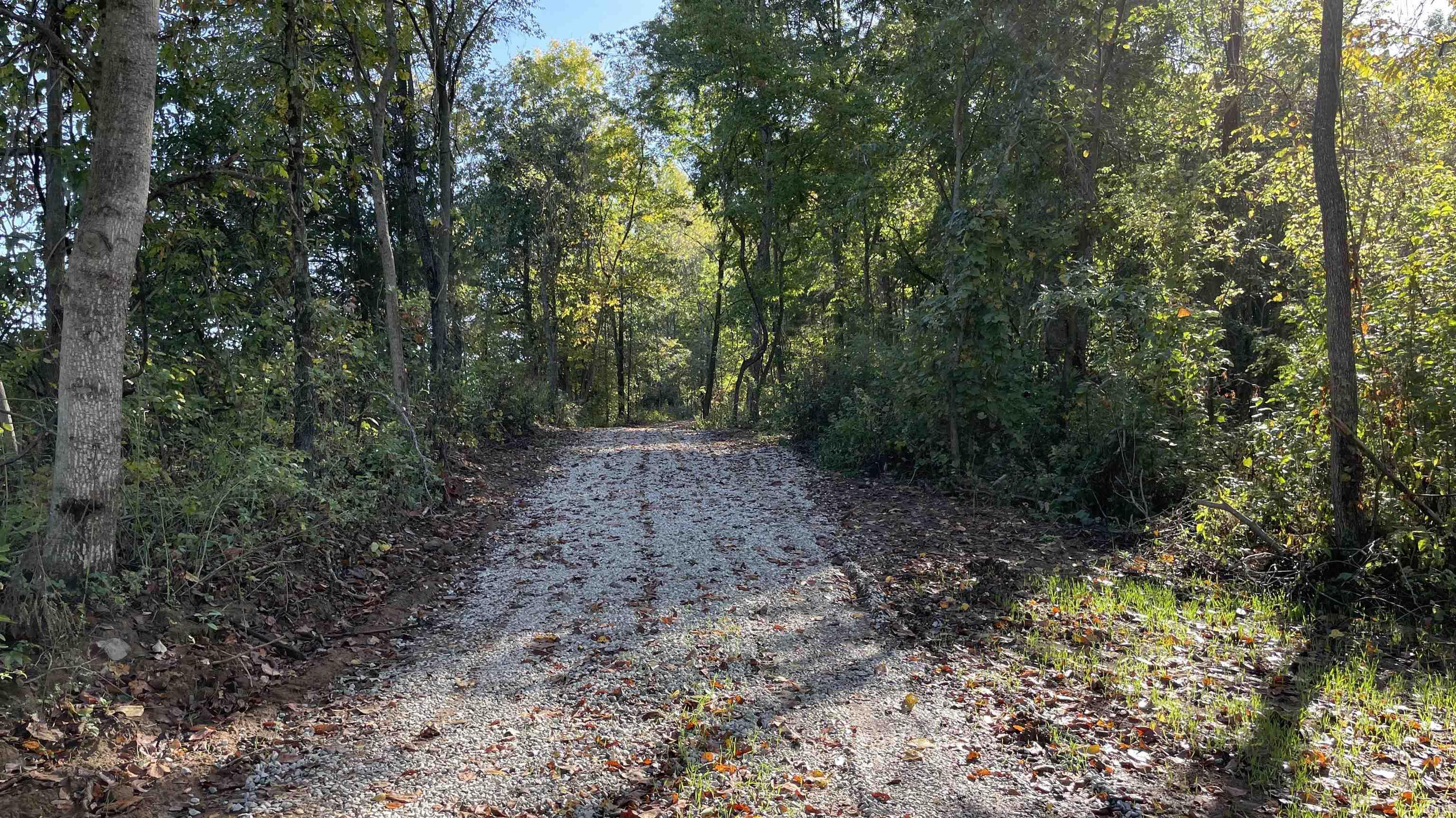 488 Clark Smith Road Mitchell, IN 47446 - Photo 6 of 24