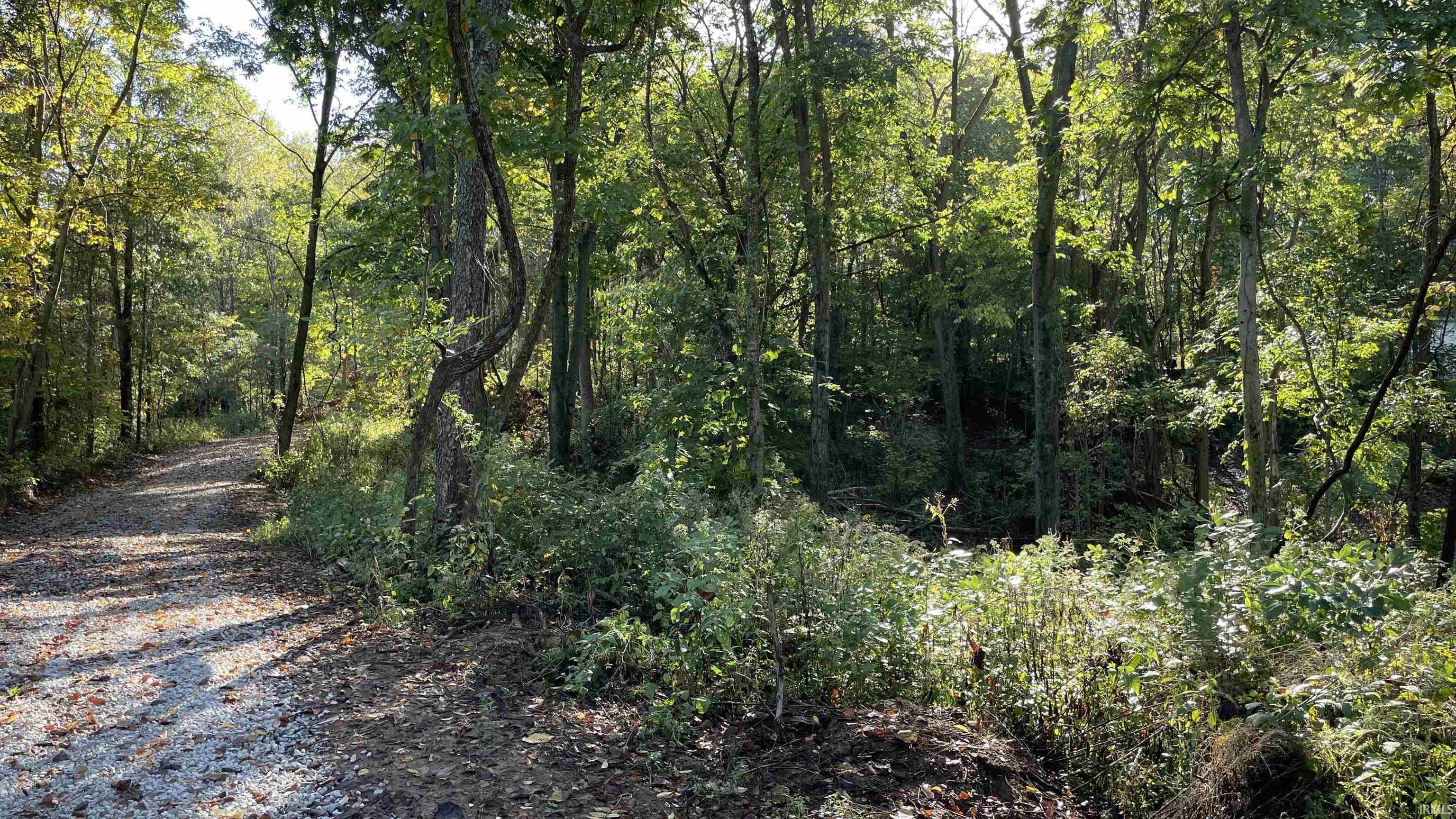 488 Clark Smith Road Mitchell, IN 47446 - Photo 7 of 24