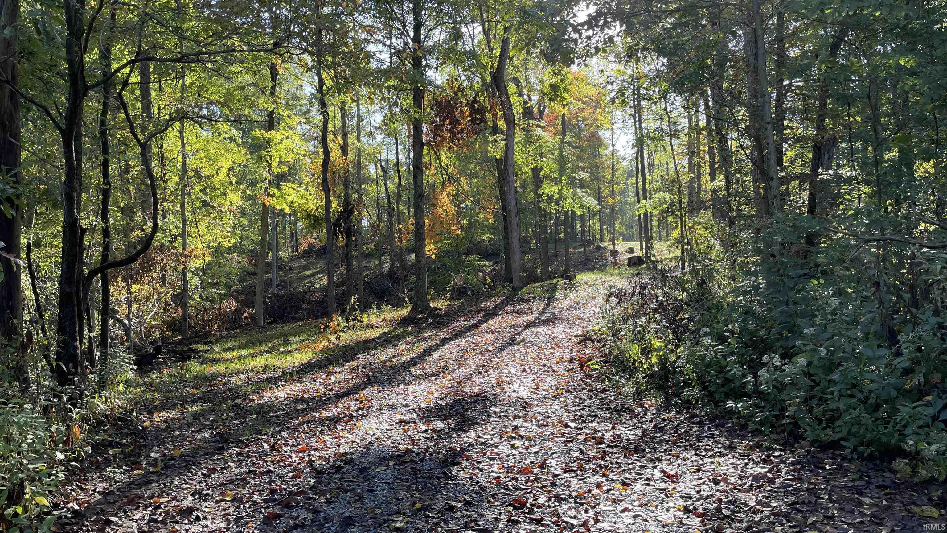 488 Clark Smith Road Mitchell, IN 47446 - Photo 8 of 24