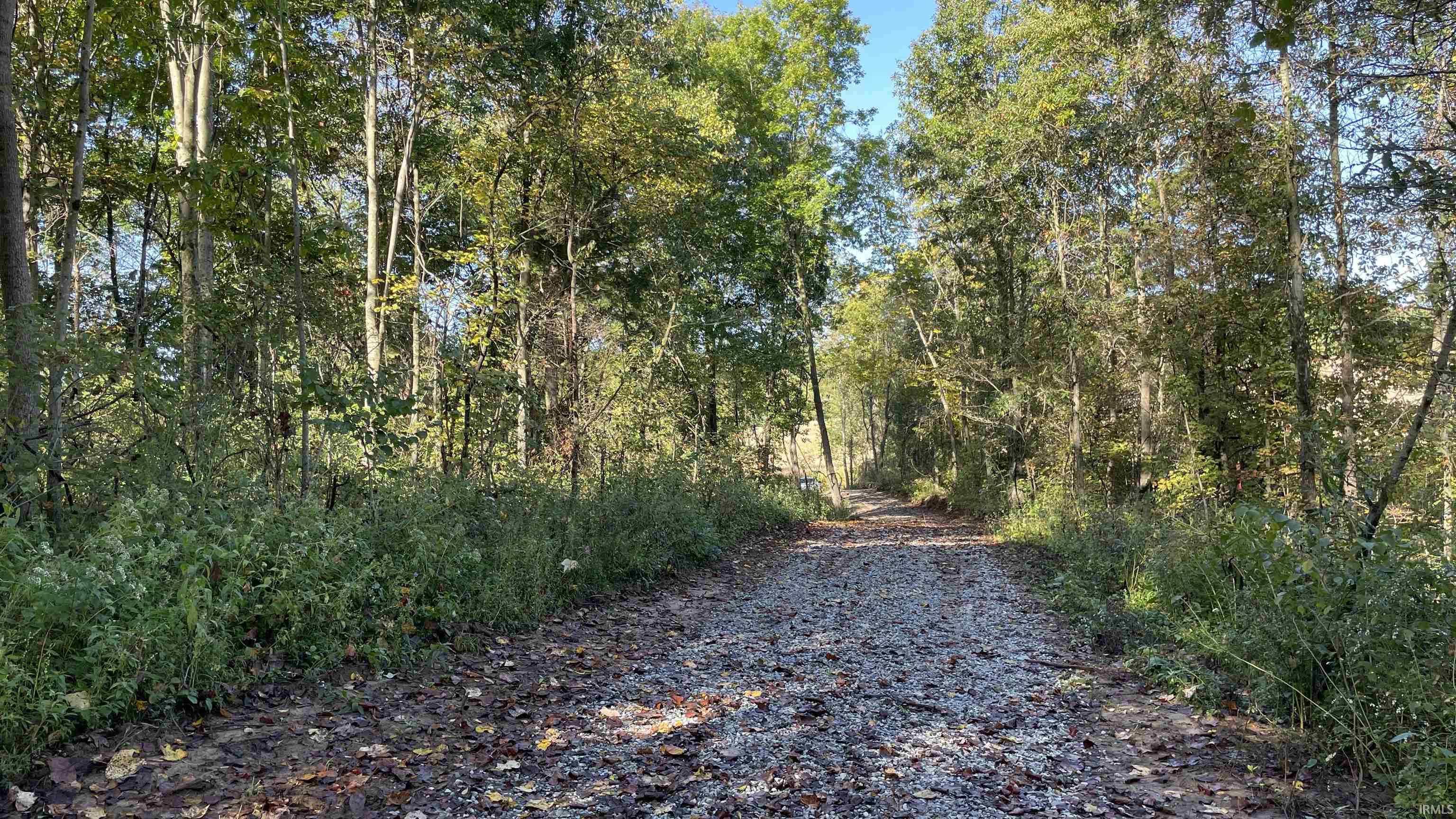 488 Clark Smith Road Mitchell, IN 47446 - Photo 9 of 24