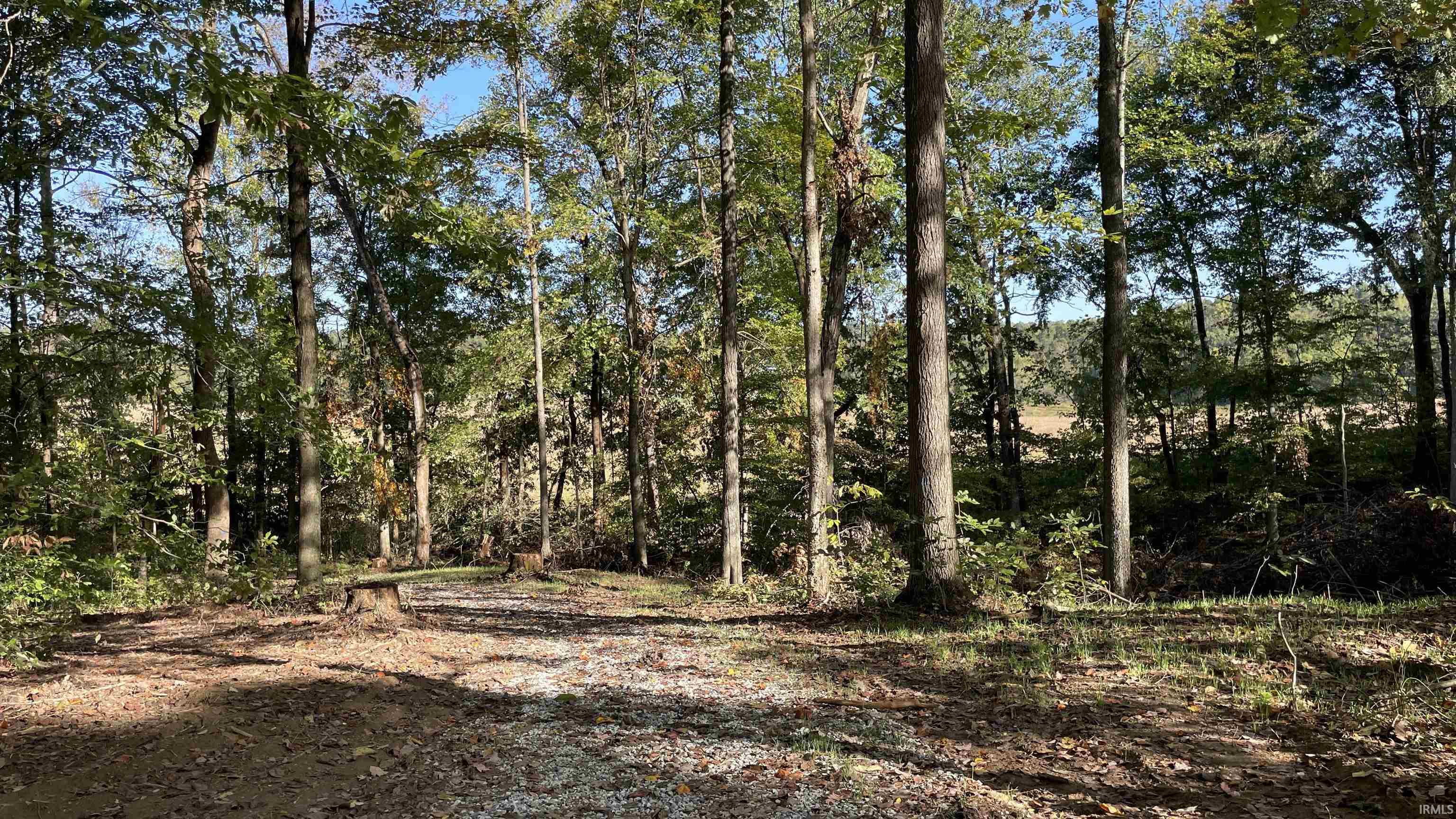 488 Clark Smith Road Mitchell, IN 47446 - Photo 10 of 24