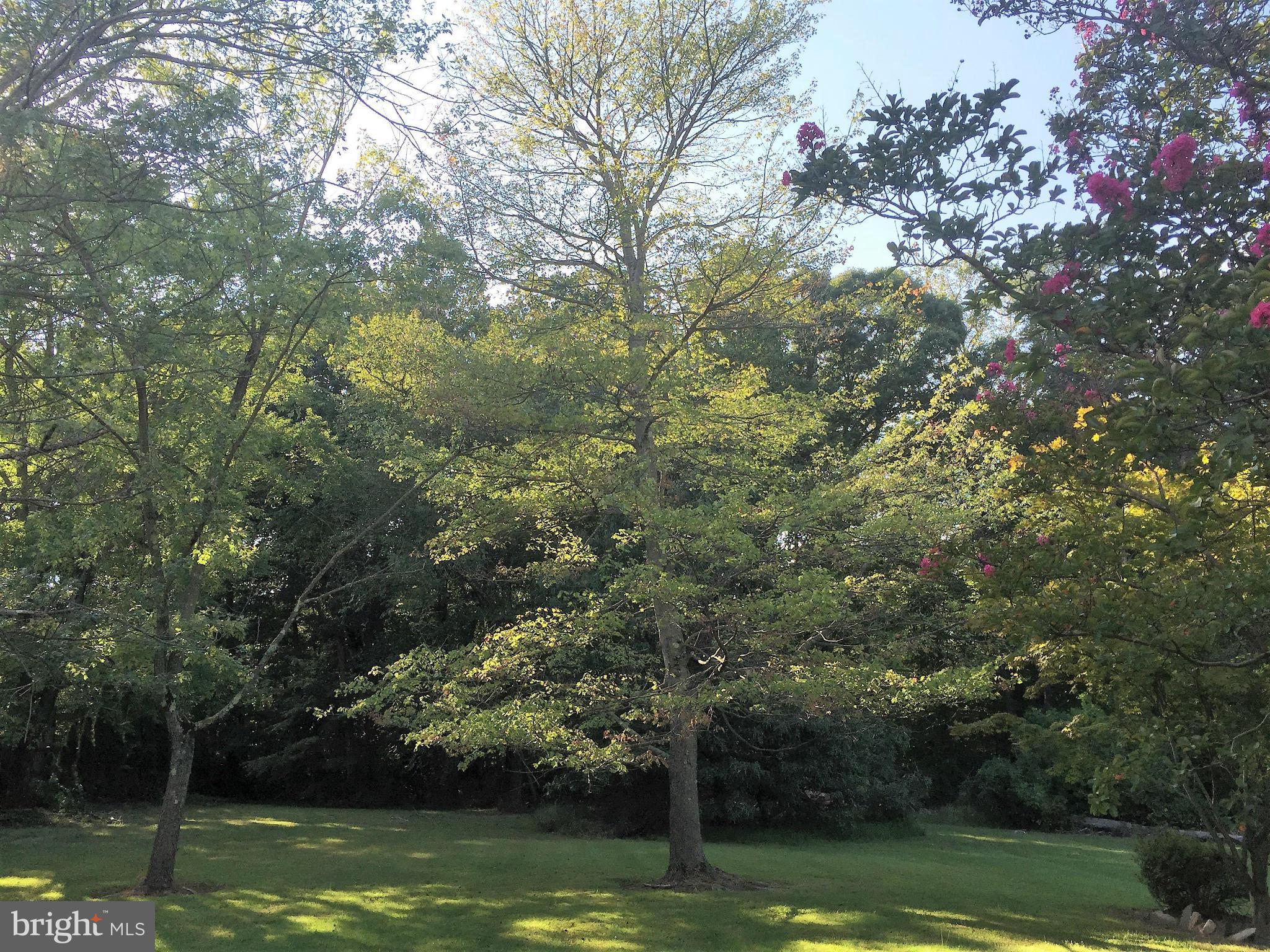 10326 Vincent Road White Marsh, MD 21162 - Photo 14 of 15 Backyard View