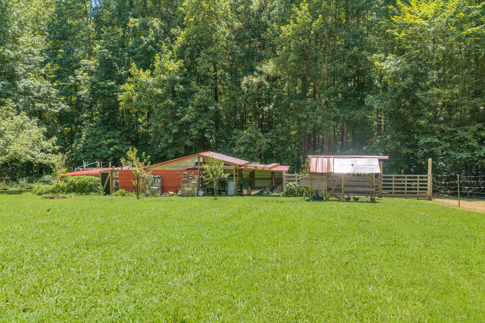 38 Doe Creek Road Sardis, TN 38371 - Photo 32 of 41