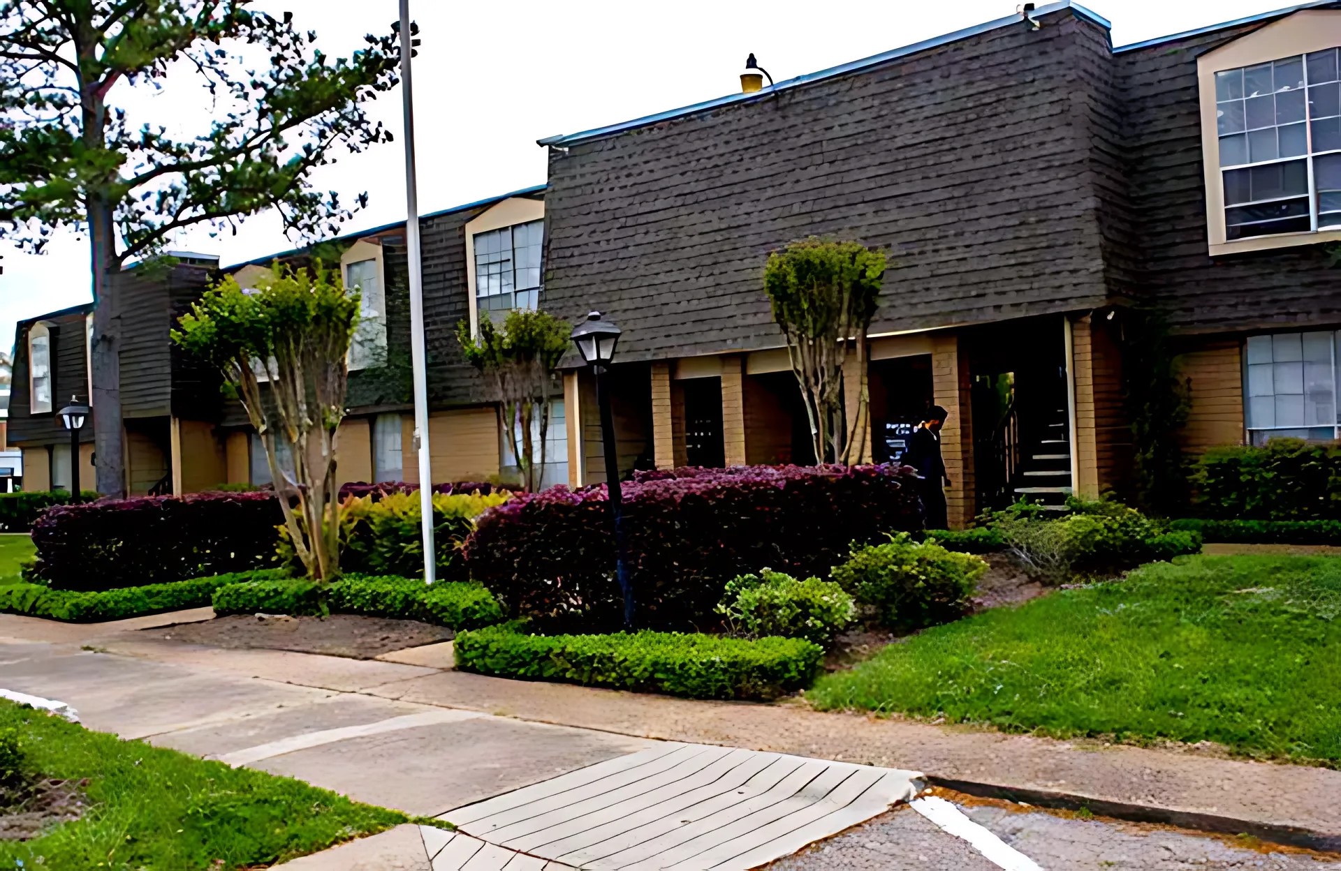 a front view of a house with garden and plants