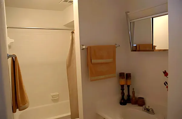 a bathroom with a shower and a sink