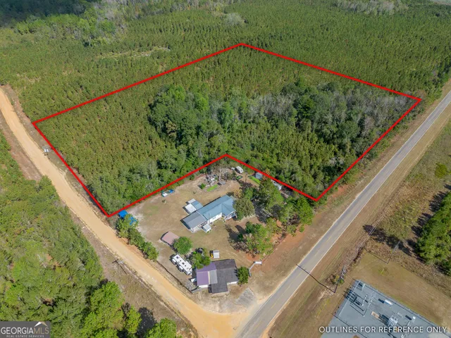 a picture of a tree with a plant