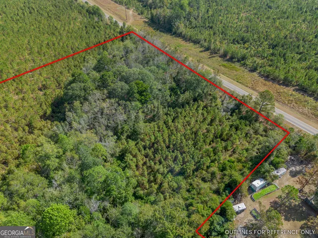 a view of a yard with plants and trees