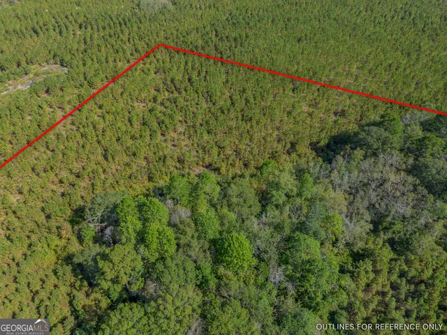 $75,000 | 0 Kinnett Road, Milan, GA 31544