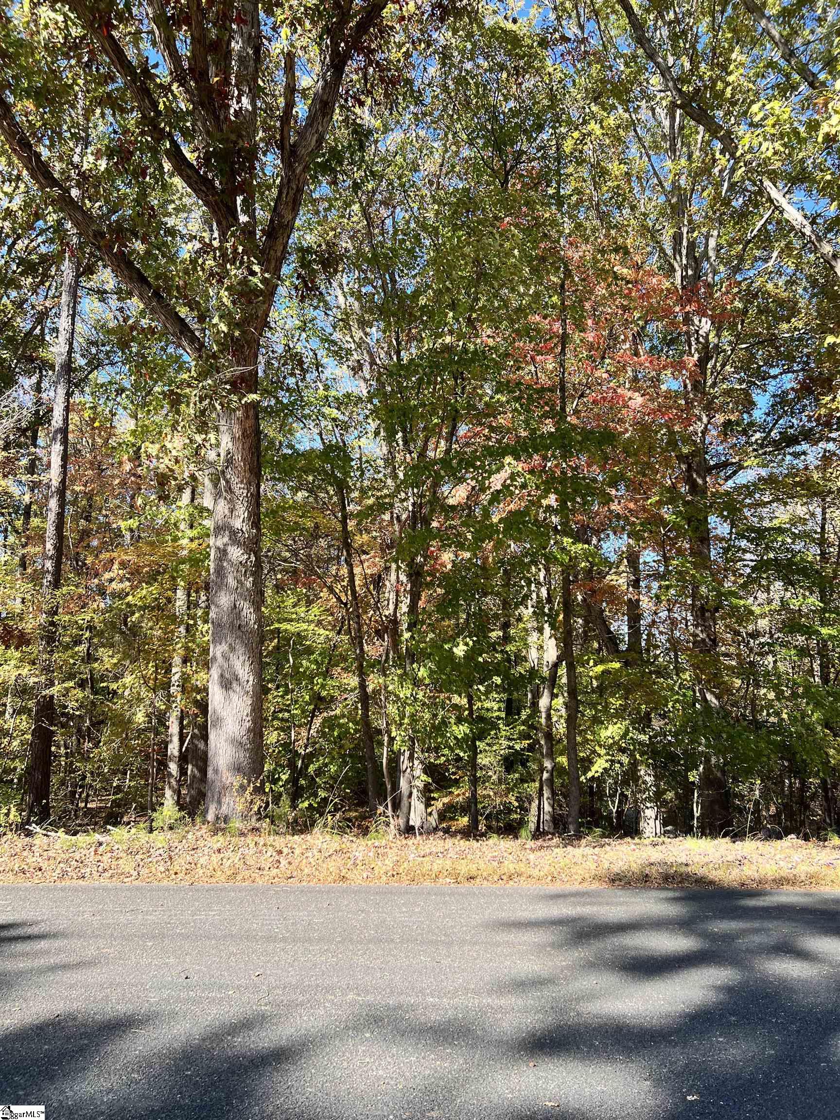 0 Brook Road Clinton, SC 29325 - Photo 1 of 12 Gallery Image 1