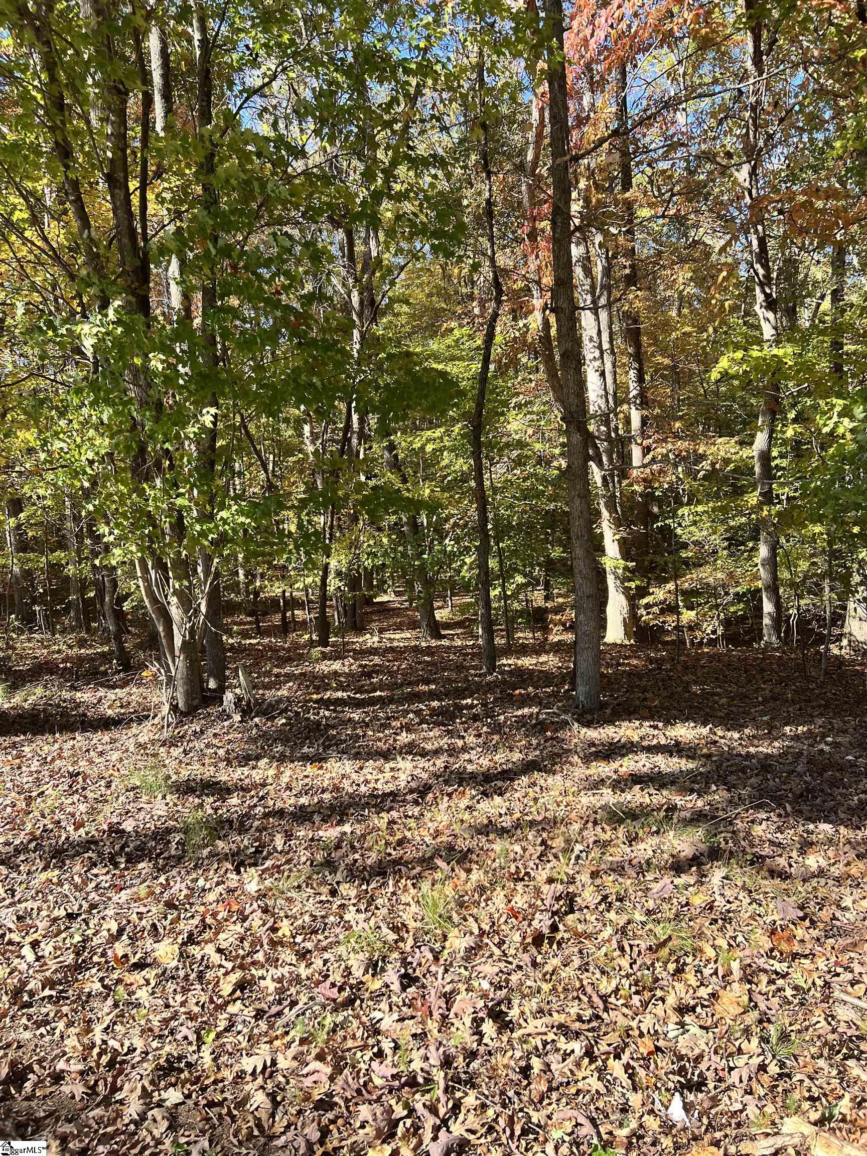 0 Brook Road Clinton, SC 29325 - Photo 11 of 12 Gallery Image 11