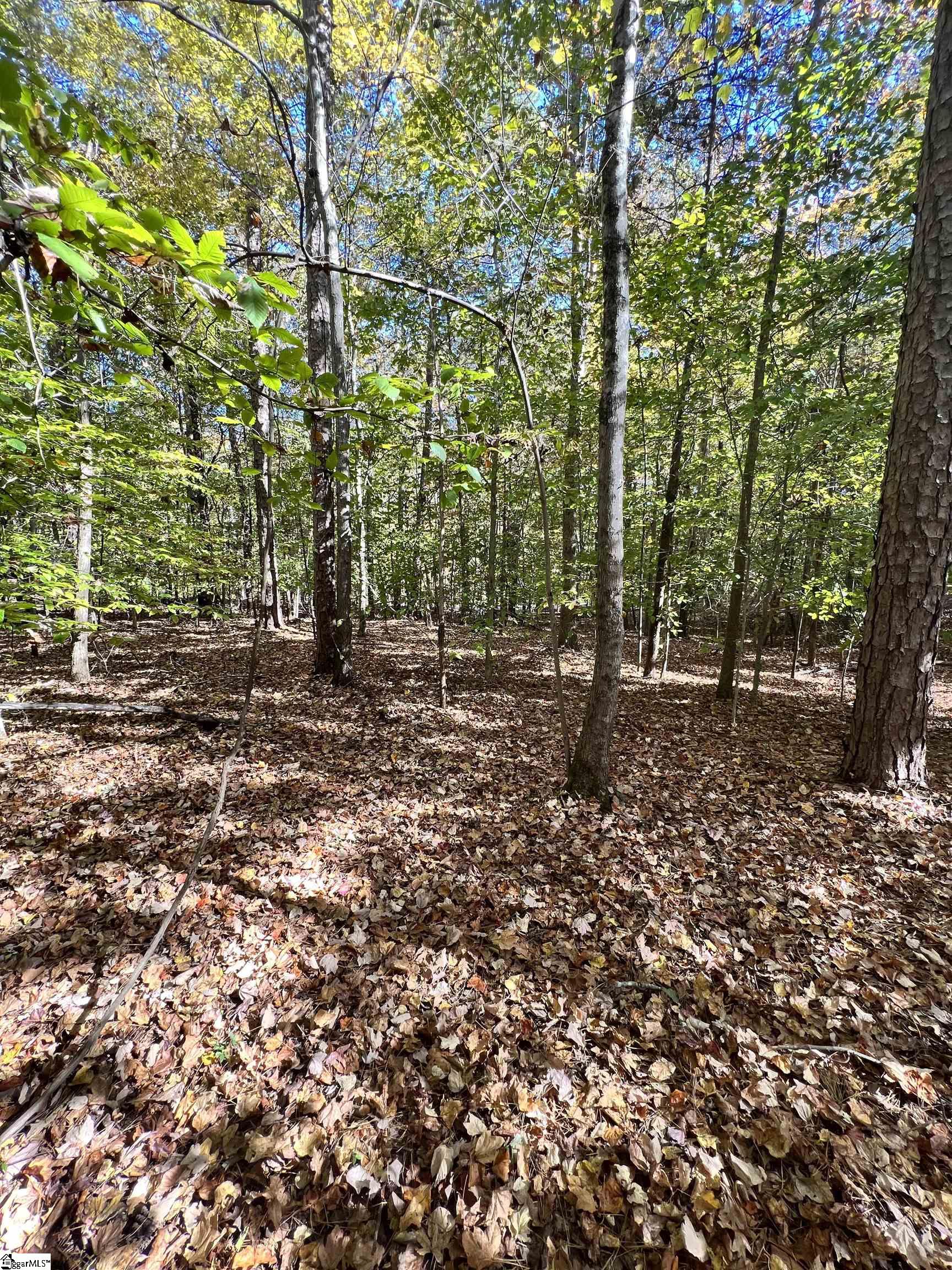 0 Brook Road Clinton, SC 29325 - Photo 8 of 12 Gallery Image 8
