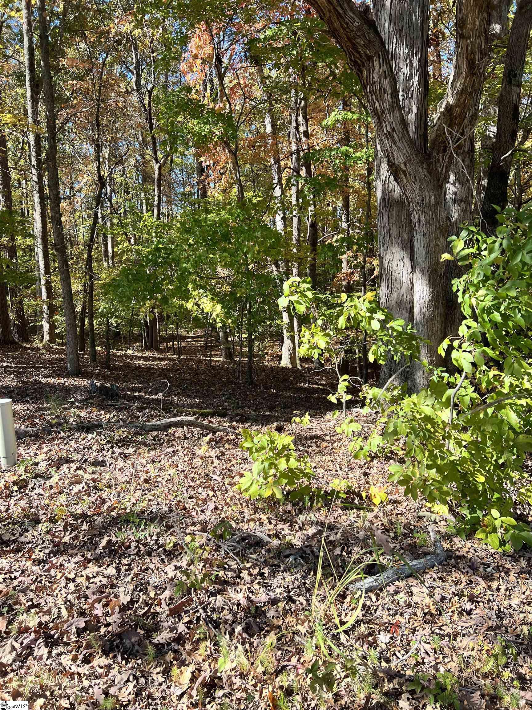 0 Brook Road Clinton, SC 29325 - Photo 10 of 12 Gallery Image 10