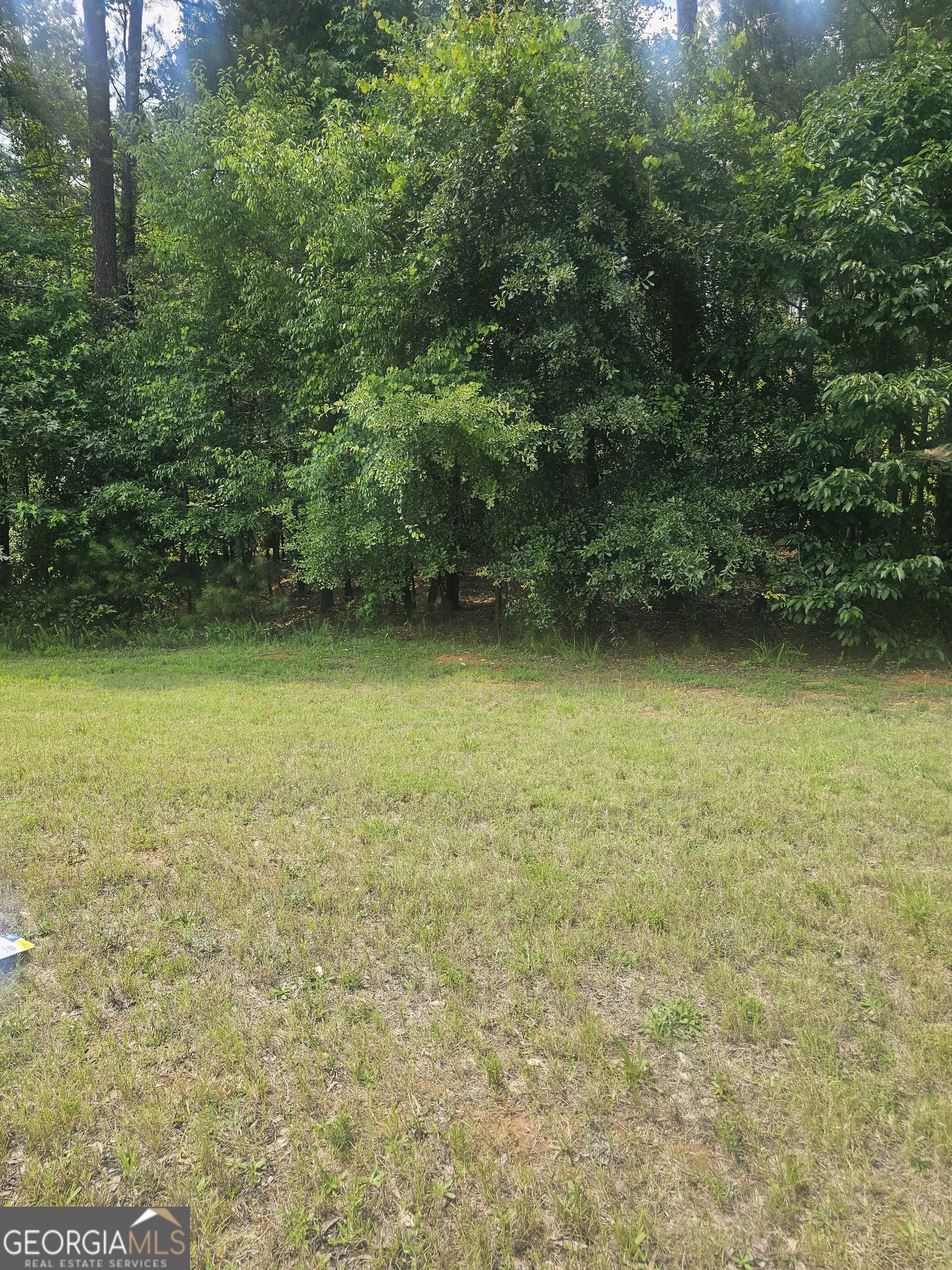 2755 Peeksville Road Locust Grove, GA 30248 - Photo 3 of 14