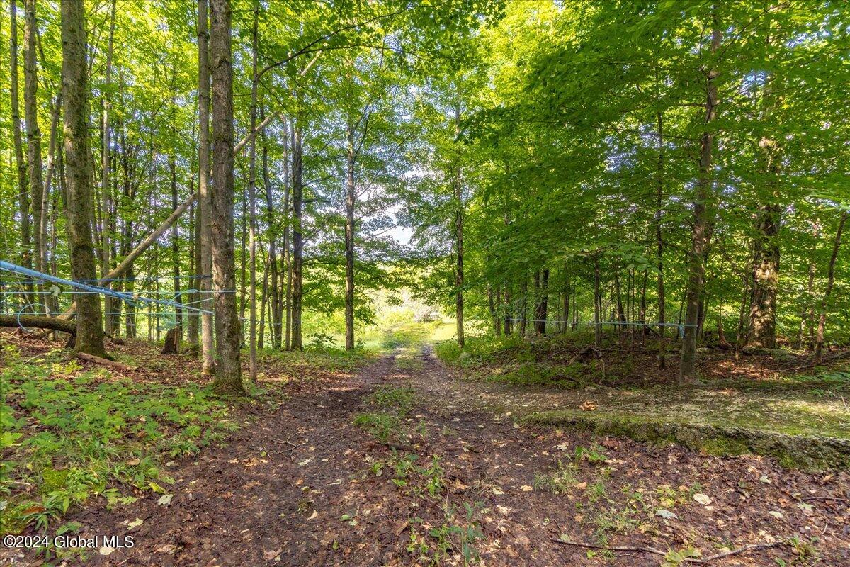 258 Blossom Road Hebron, NY 12832 - Photo 15 of 23 09-258 Blossom Rd-9